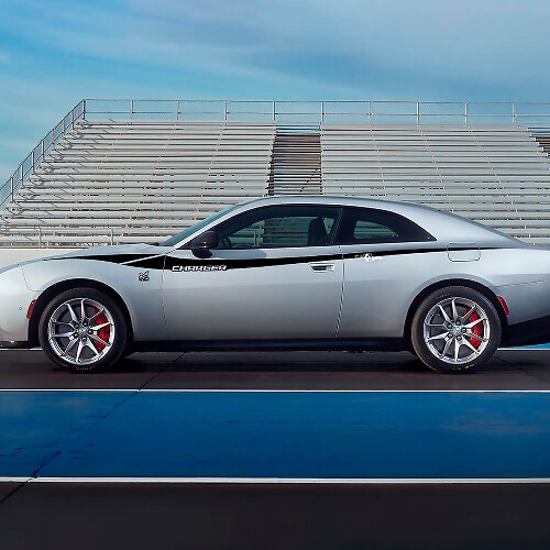 Apple Panda MacBook Aufkleber Aufkleber