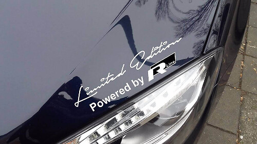Paar Limited Edition R-Line Style Aufkleber für Volkswagen Touareg Beetle Passat