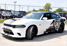 Custom Cat Head Distressed Stripe Pattern Komplettsatz Vinylaufkleber für Dodge Charger Hellcat_3