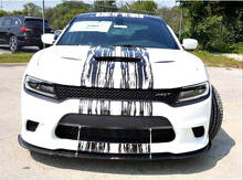 Custom Cat Head Distressed Stripe Pattern Komplettsatz Vinylaufkleber für Dodge Charger Hellcat_4