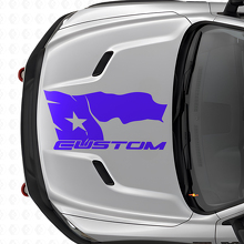 Used Look Texas-Flag mit Schriftzug Motorhauben-Vinylaufkleber für Dodge Ram 2015-17_2