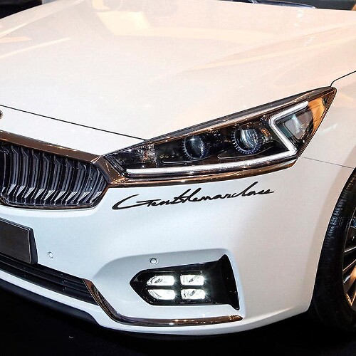 Beschriftungsaufkleber Emblem Logo Vinyl 2 Für Ford