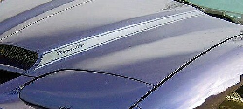 Blackbird Haubeneinlass Streifen Vinyl-Aufkleber für Pontiac Firebird