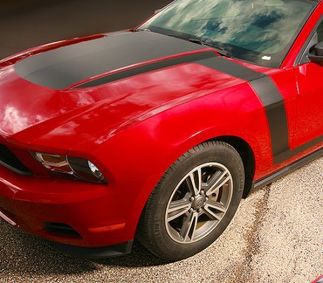 2010–2012 Ford Mustang Boss Style Hood Fender to Side Stripes Decals in jeder Farbe