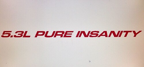 5,3 l PURE INSANITY (3) Motorhaubenaufkleber für Chevy, GMC Silverado, Sierra
