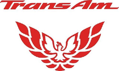 Trans Am Rücklichtfüllstoff Vinylaufkleber für Pontiac Firebird 1998-2002