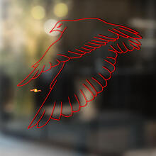 Falcon Bird Universeller Vinylaufkleber_2