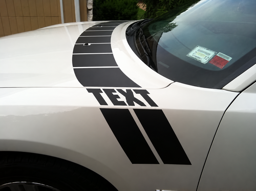 TEXT Segmentierter Abdeckstreifen-Satz Motorhaube Vorderradkotflügel Vinyl-Aufkleber für Dodge Charger 2005-2010