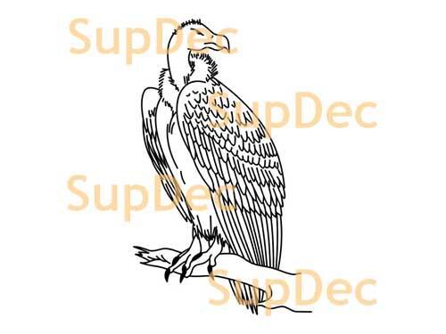 Adler Vinyl Kunst Wand Fenster Badezimmer Aufkleber Abziehbar #2
