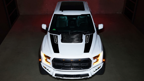 CUSTOM Rally-Akzent Paar Hauben-Vinylaufkleber für Ford F-150 2016-2018