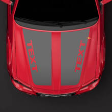Blackout Custom Haubenstreifen Vinyl-Aufkleber für Chrysler 300C SRT-8 2005-2010_3