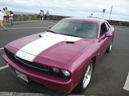 Einteilige Vintage Hood Decal Kit -Aufkleber für 2008 - 2014 Dodge Challenger
