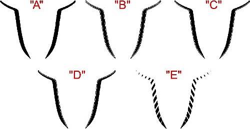 2015 und höher Dodge Charger SRT / HELLCAT Hood Spear Accent Stripe Kit