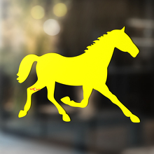 Pferd Vinyl Kunst Wand Fenster Badezimmer Aufkleber Aufkleber #3
_3