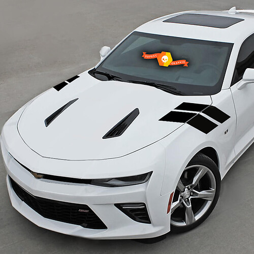 Chevrolet Camaro 2010–2020 Fender Hash Side Accent Stripes
