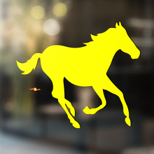 Pferd Vinyl Kunst Wand Fenster Badezimmer Aufkleber Aufkleber #7
_3