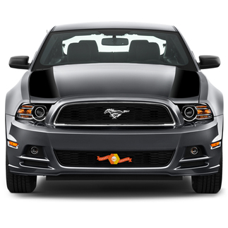 Ford Mustang 2013–2020 seitliche Akzentstreifen auf der Motorhaube