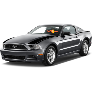 Ford Mustang 2013-2020 Motorhaube und seitliche Speerstreifen