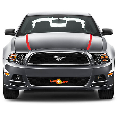FORD MUSTANG 2013- 2020 HOOD SPEAR SEITENSTREIFEN