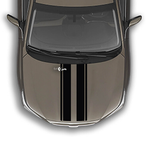 Dual Racing Hood Stripes Aufkleber in Universalgröße
