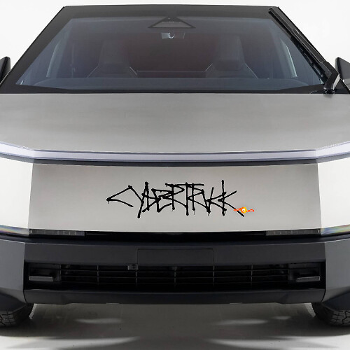 Für Tesla Cybertruck
