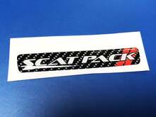 Ein Lenkrad-Scat-Pack, Carbonfaser-Emblem, gewölbter Aufkleber, 2 Scatpack
 2