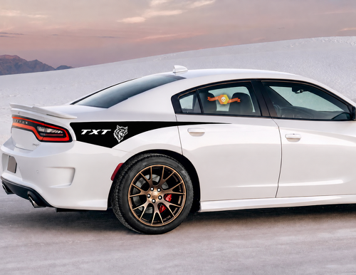 TXT Custom Cat Head Tapered Stripe Pair Hinterer Kotflügel Vinylaufkleber für Dodge Charger SRT, Hellcat 2011-2020