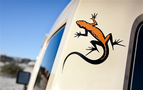 Mojave Gecko Vinyl-Aufkleberset für Jeep Wrangler