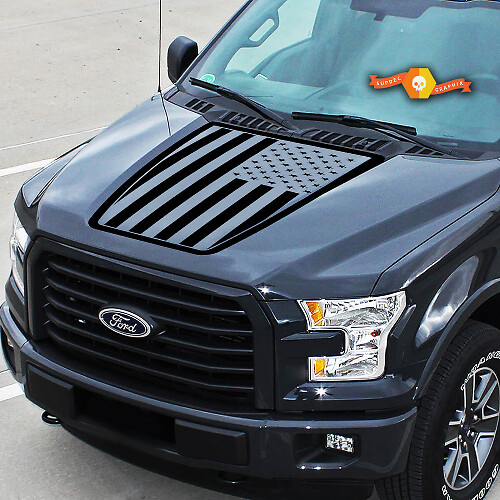 Passend für Ford Flag USA EcoBoost Center Hood Graphics Stripes Vinyl Decals Truck Stickers 15–20
