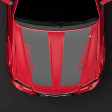Doppelter Vinyl-Aufkleber mit individuellen Motorhaubenstreifen für Chrysler 300C 2014_3