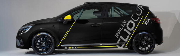Article: Renault Decals Aufkleber
